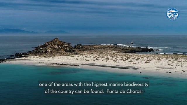 Cooperativa “Punta norte” | Punta de Choros
