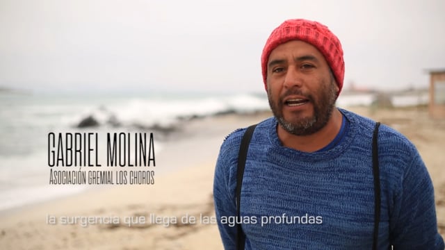 La voz de los pescadores | Gabriel Molina